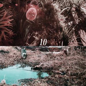 中国老女人裸体视频
