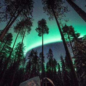 中国老女人裸体视频
